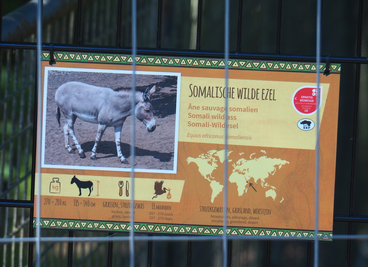 Somali wild donkey signage, 2022-07-03