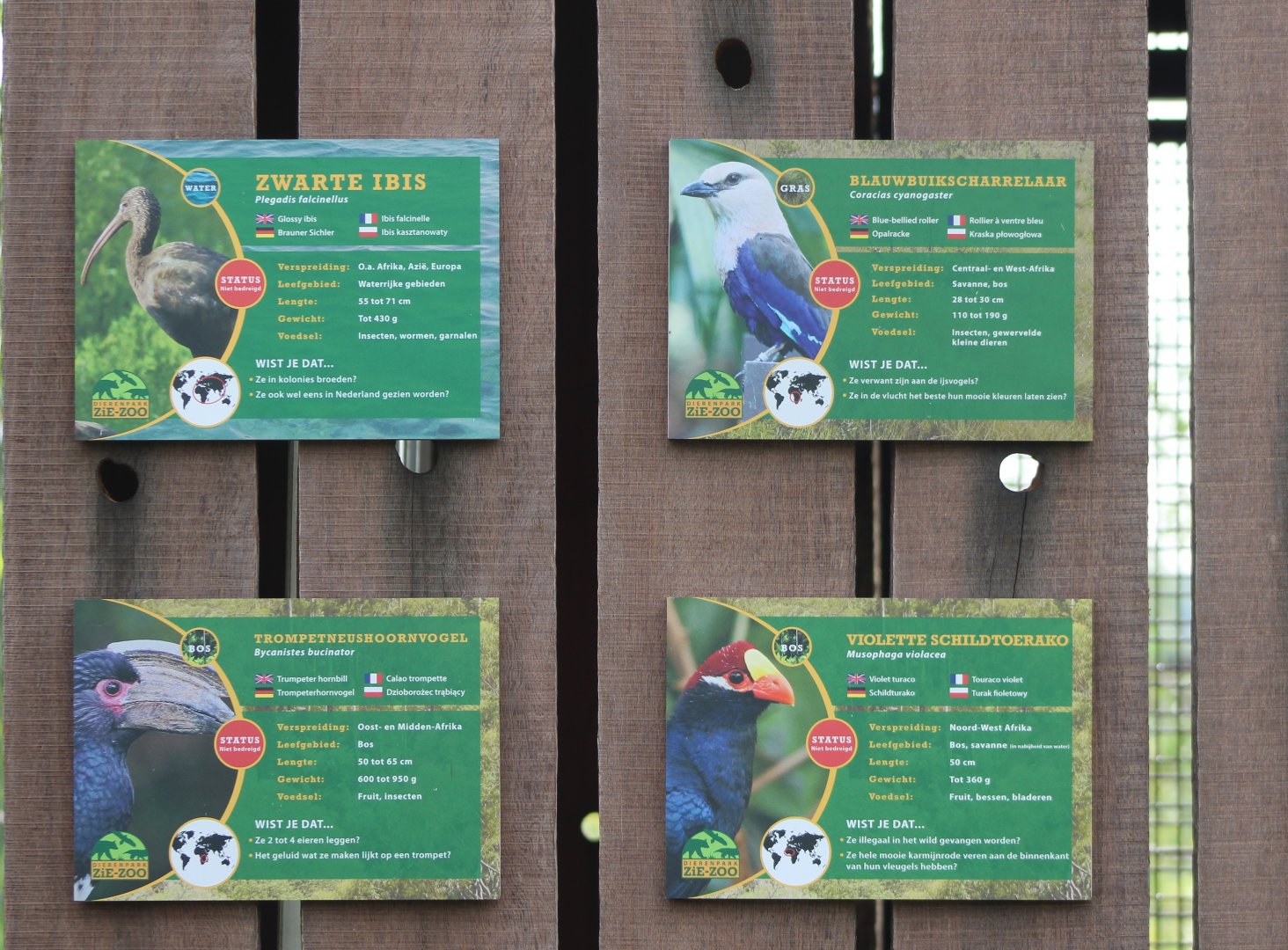Some bird-signs at the new Walk-through Flamingo - Wader aviary