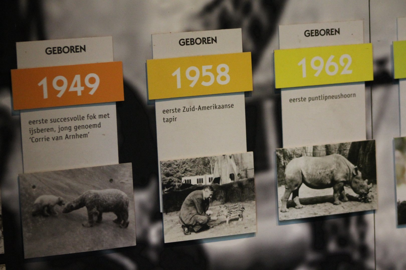 Some historical succeses