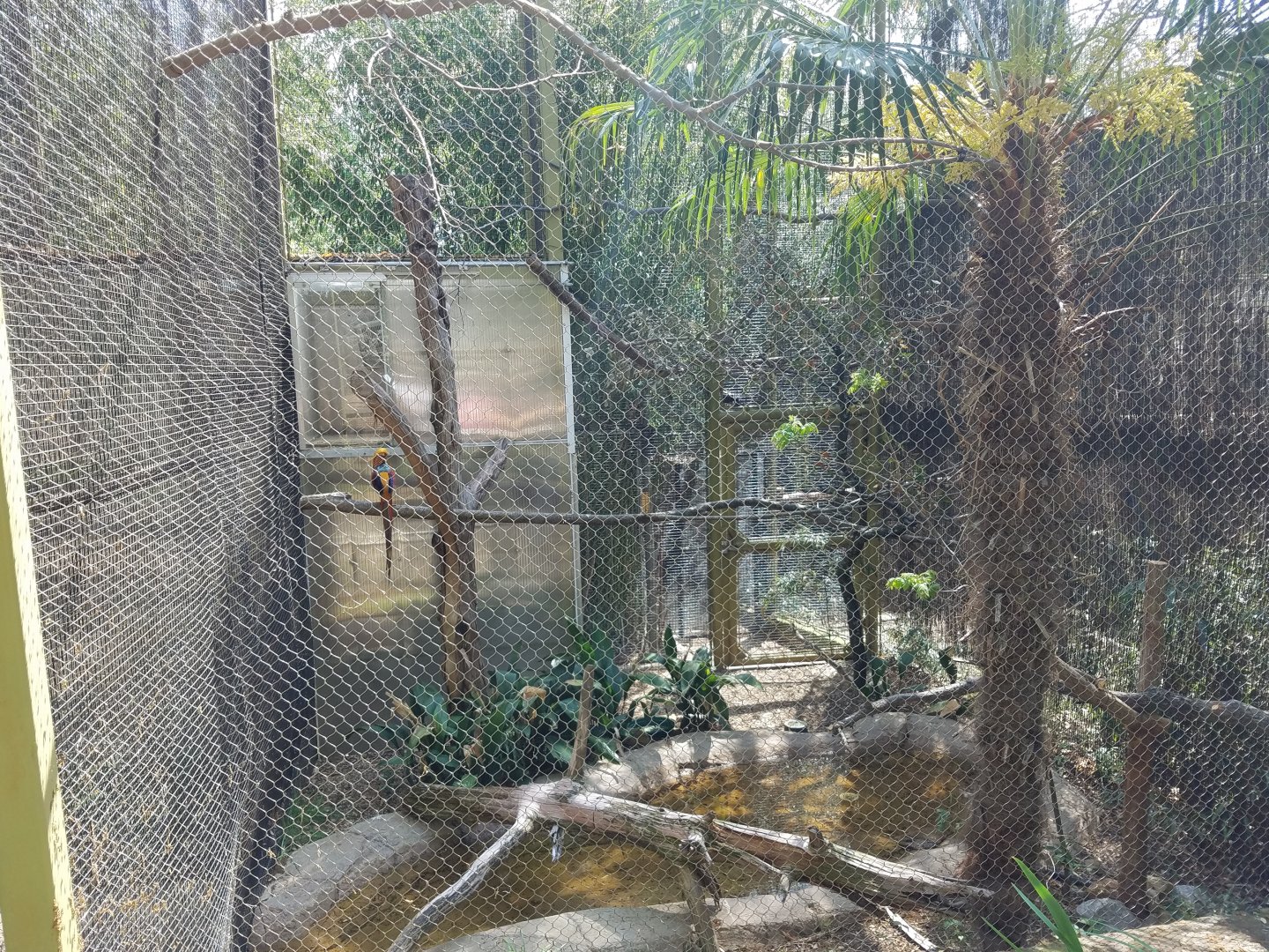 Some kind of joke...