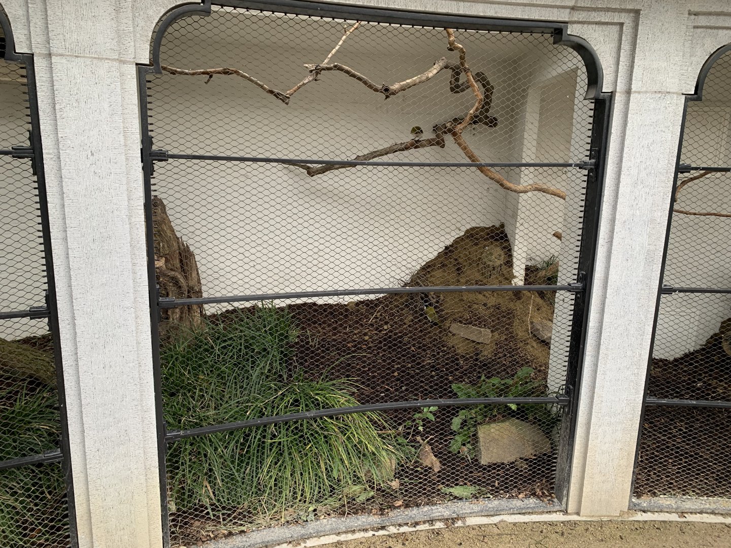 Some minor changes to the enclosure of Swift Parrot and Blue-faced Honeyeater