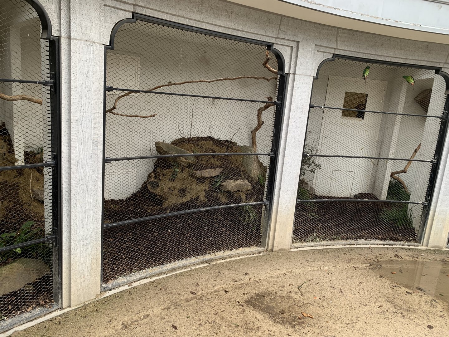 Some minor changes to the enclosure of Swift Parrot and Blue-faced Honeyeater