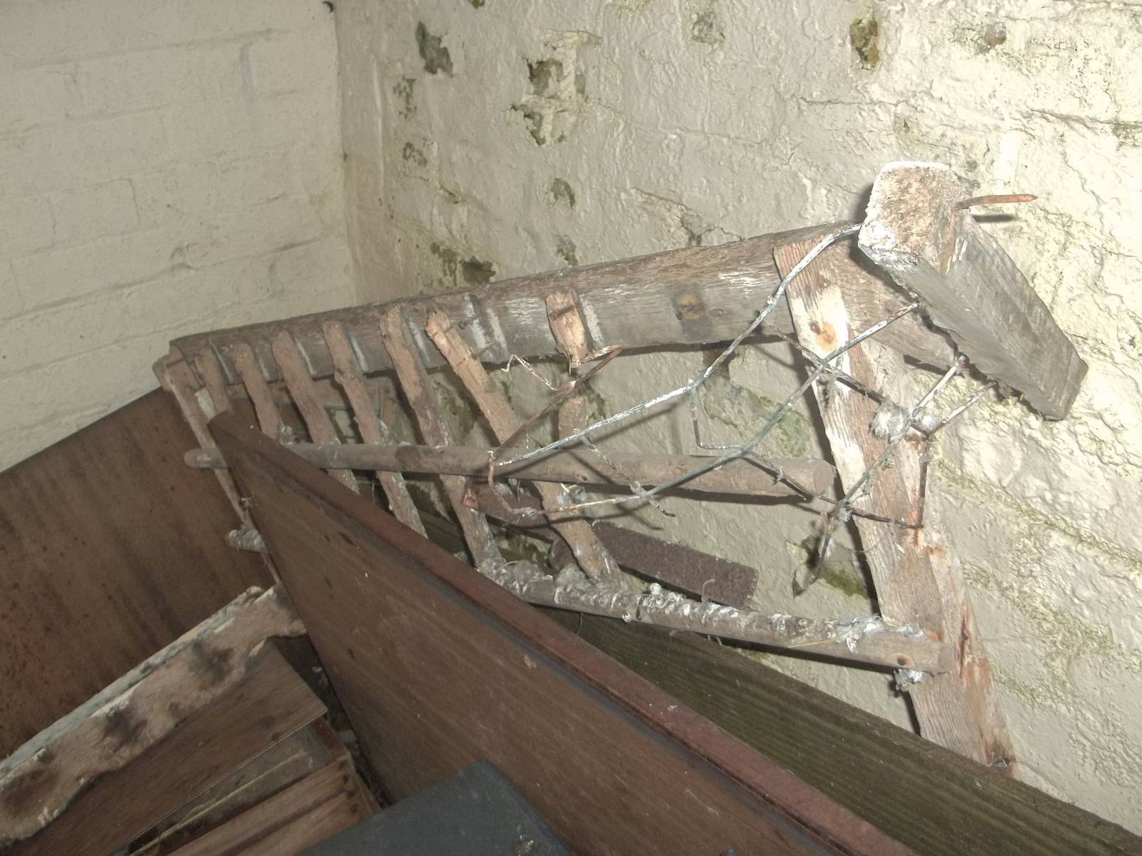 Some more zoo history retired I, 24th November 2014