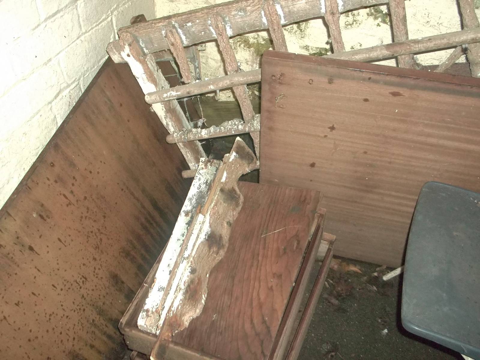 Some more zoo history retired II, 24th November 2014