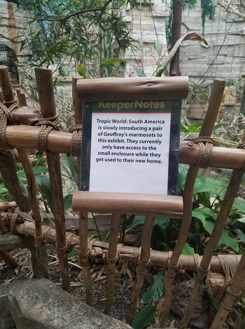 Some new friends are moving into Tropic World..