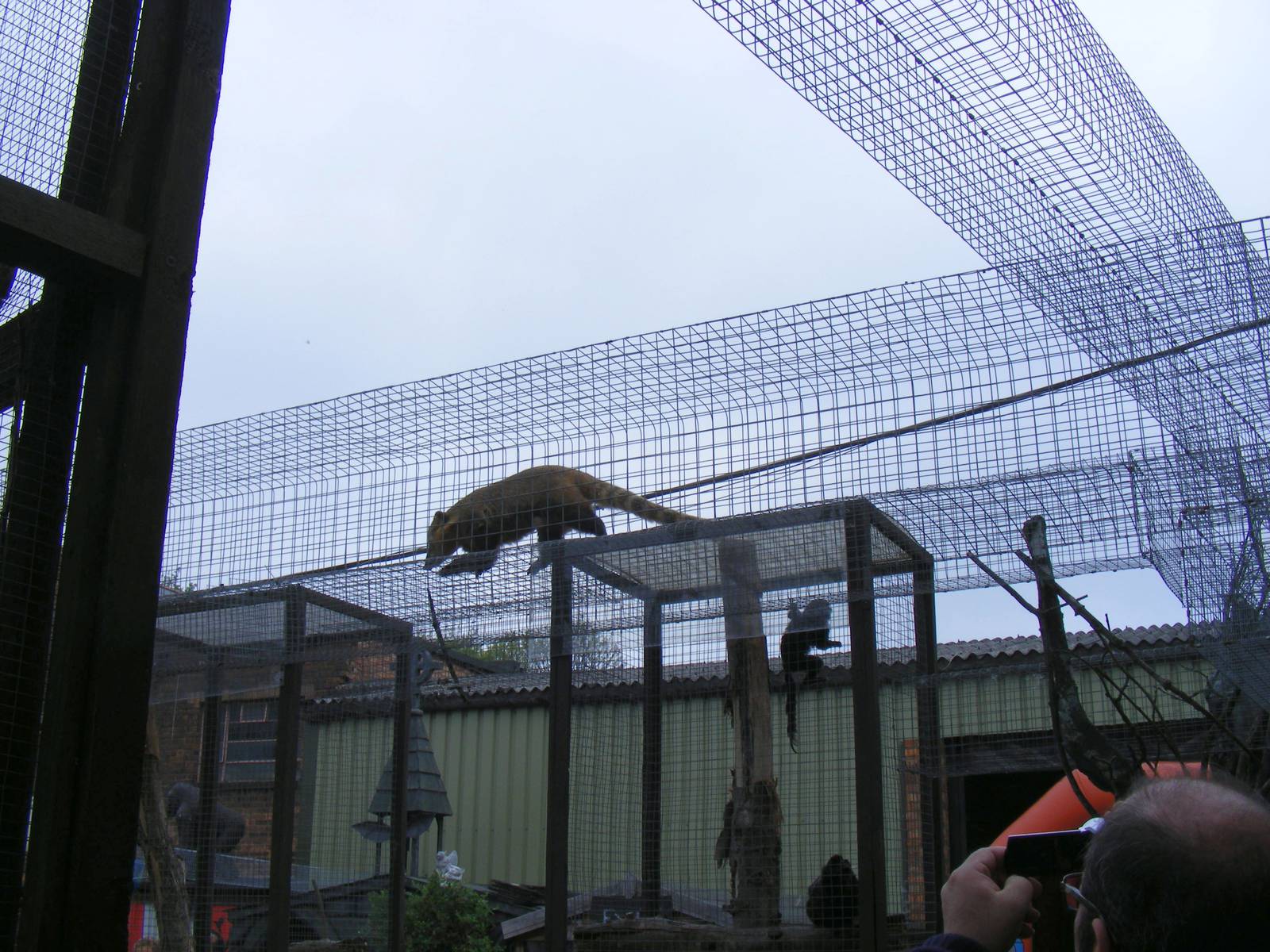 Some of the animal runs at Wickid Pets - Animal Adventure, 29 April 2011