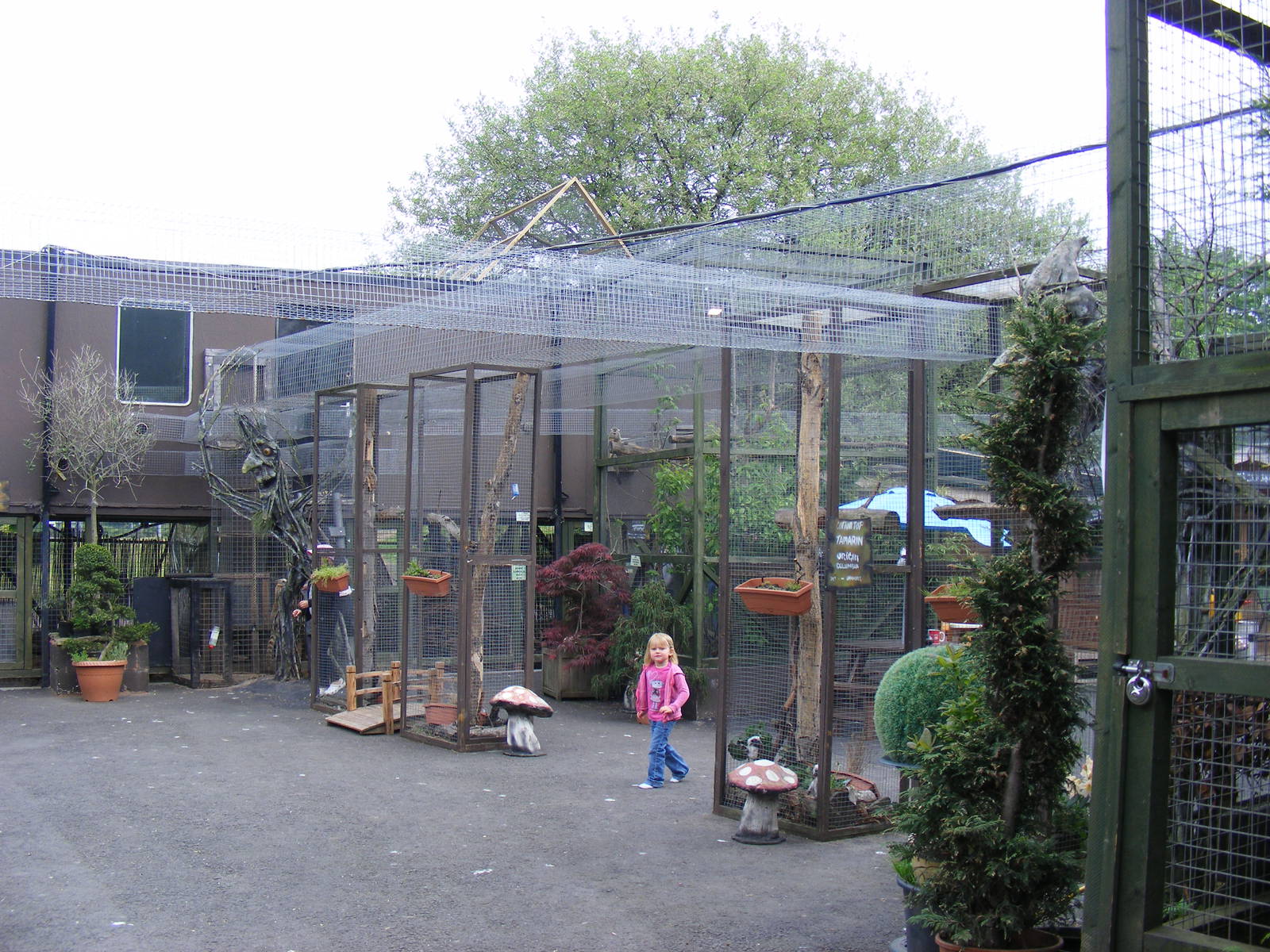 Some of the animal runs at Wickid Pets - Animal Adventure, 29 April 2011