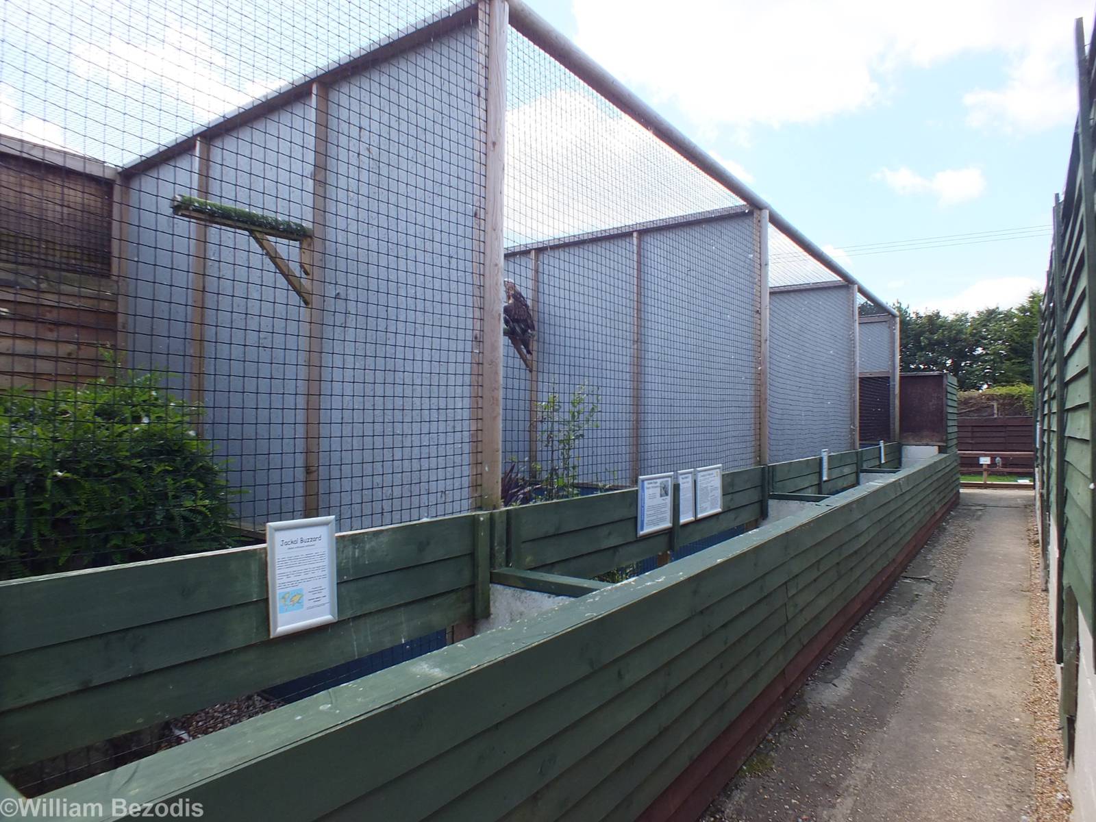 Some of the Aviaries for Owls and Hawks