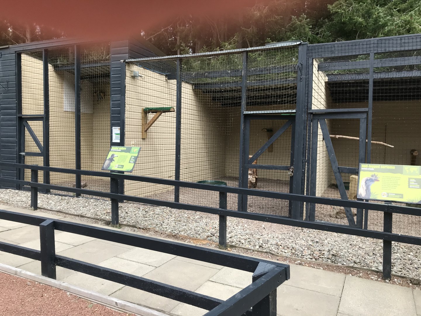 Some of the birds of prey aviaries