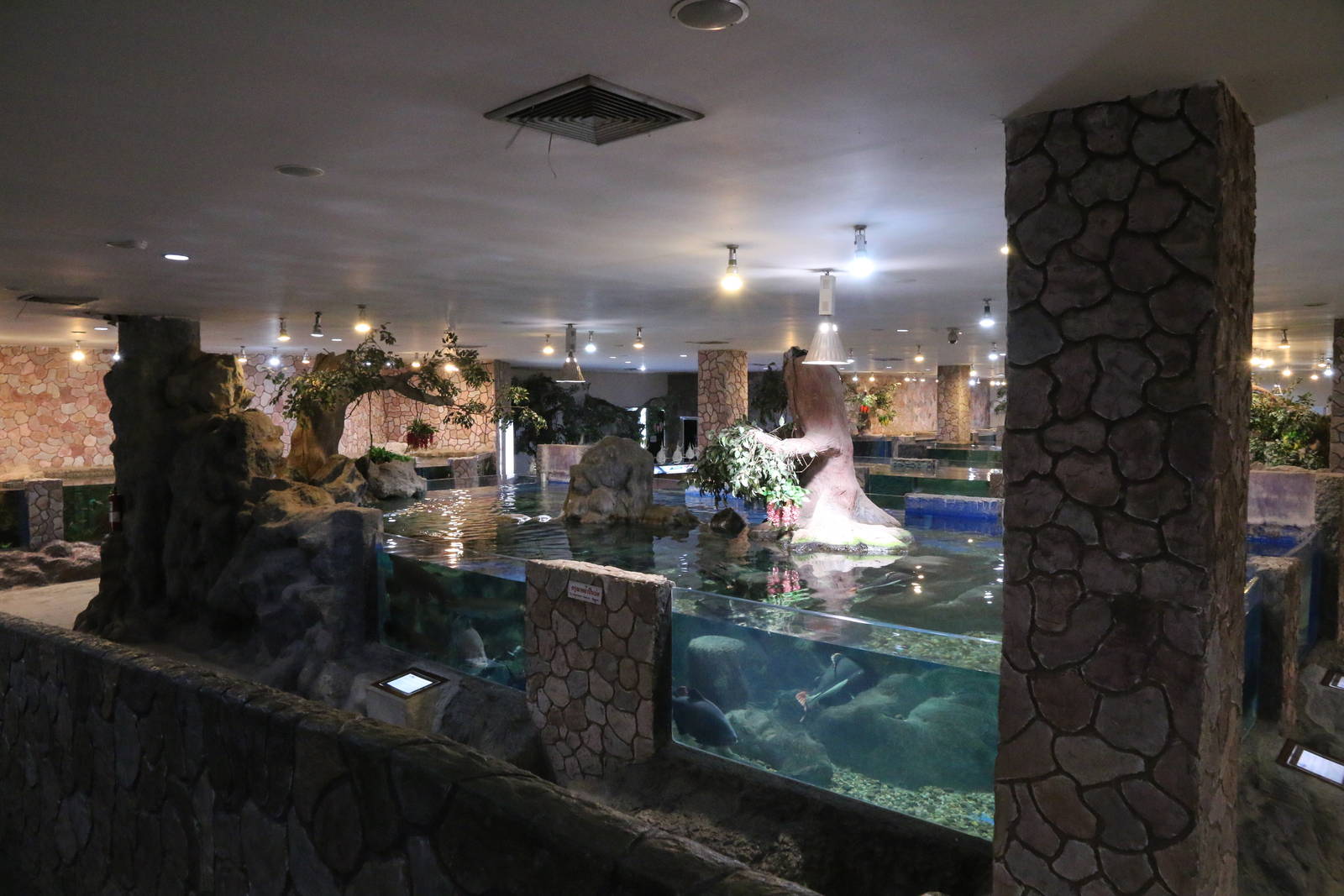 Some of the Ground Floor Tanks