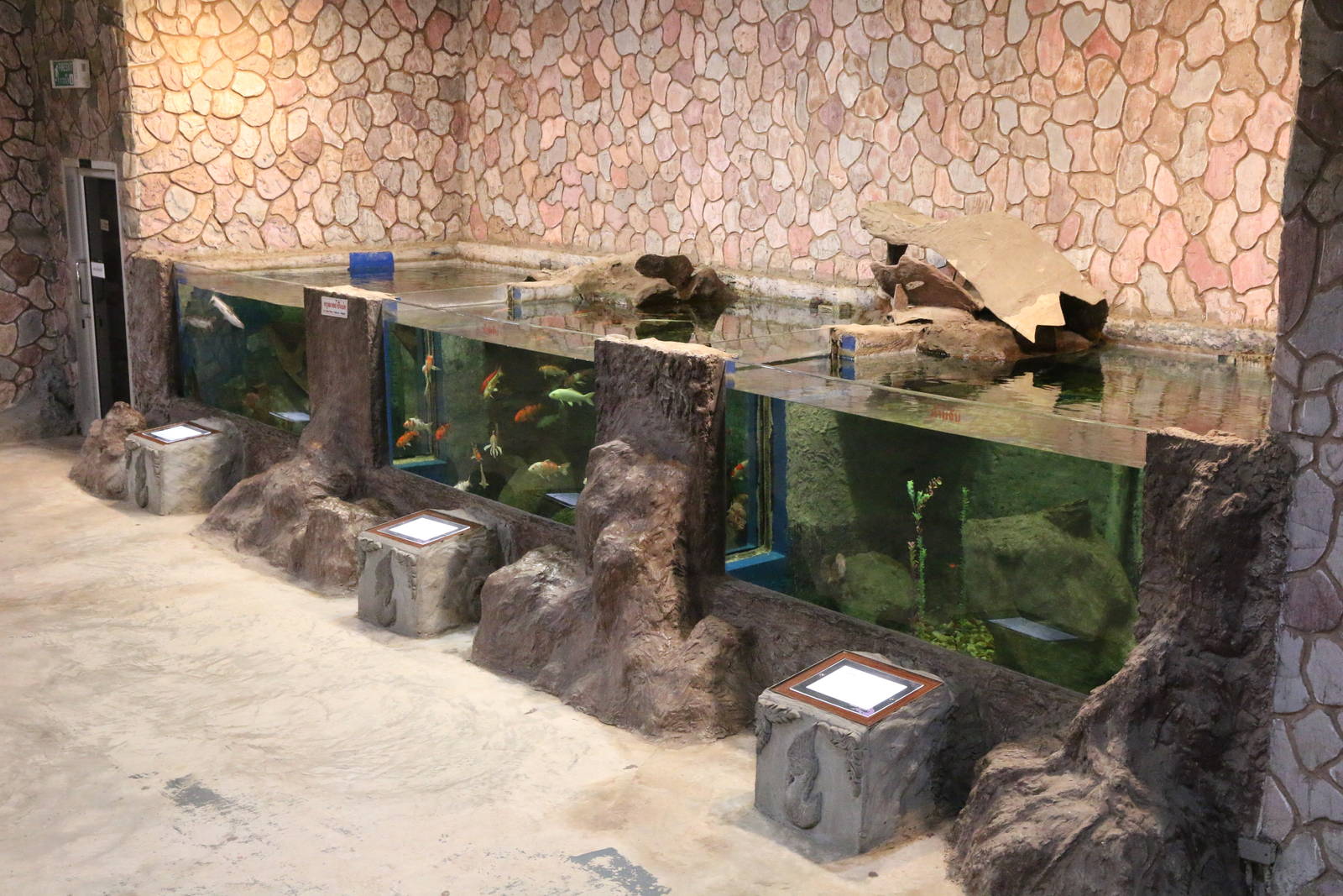 Some of the Ground Floor Tanks