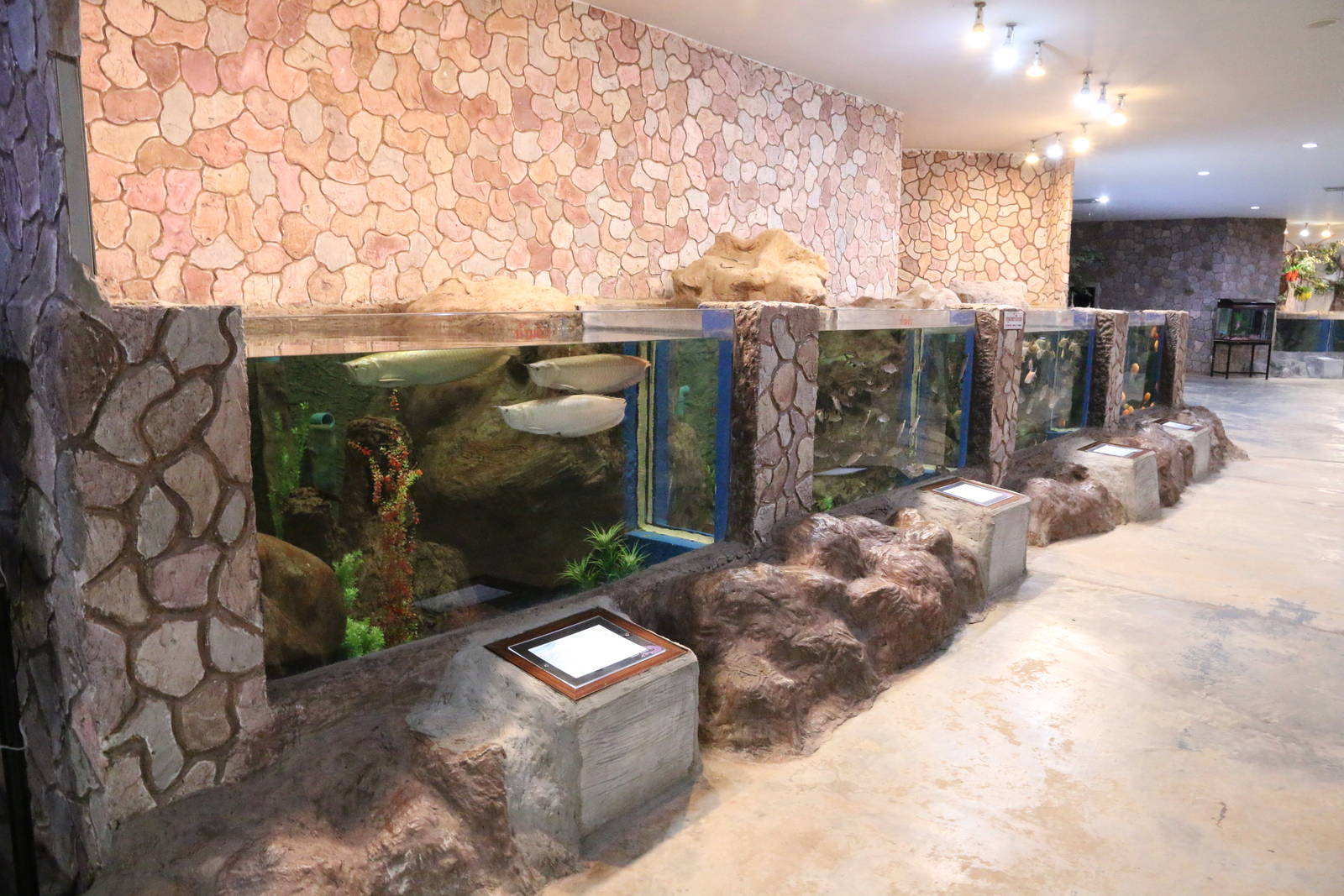 Some of the Ground Floor Tanks
