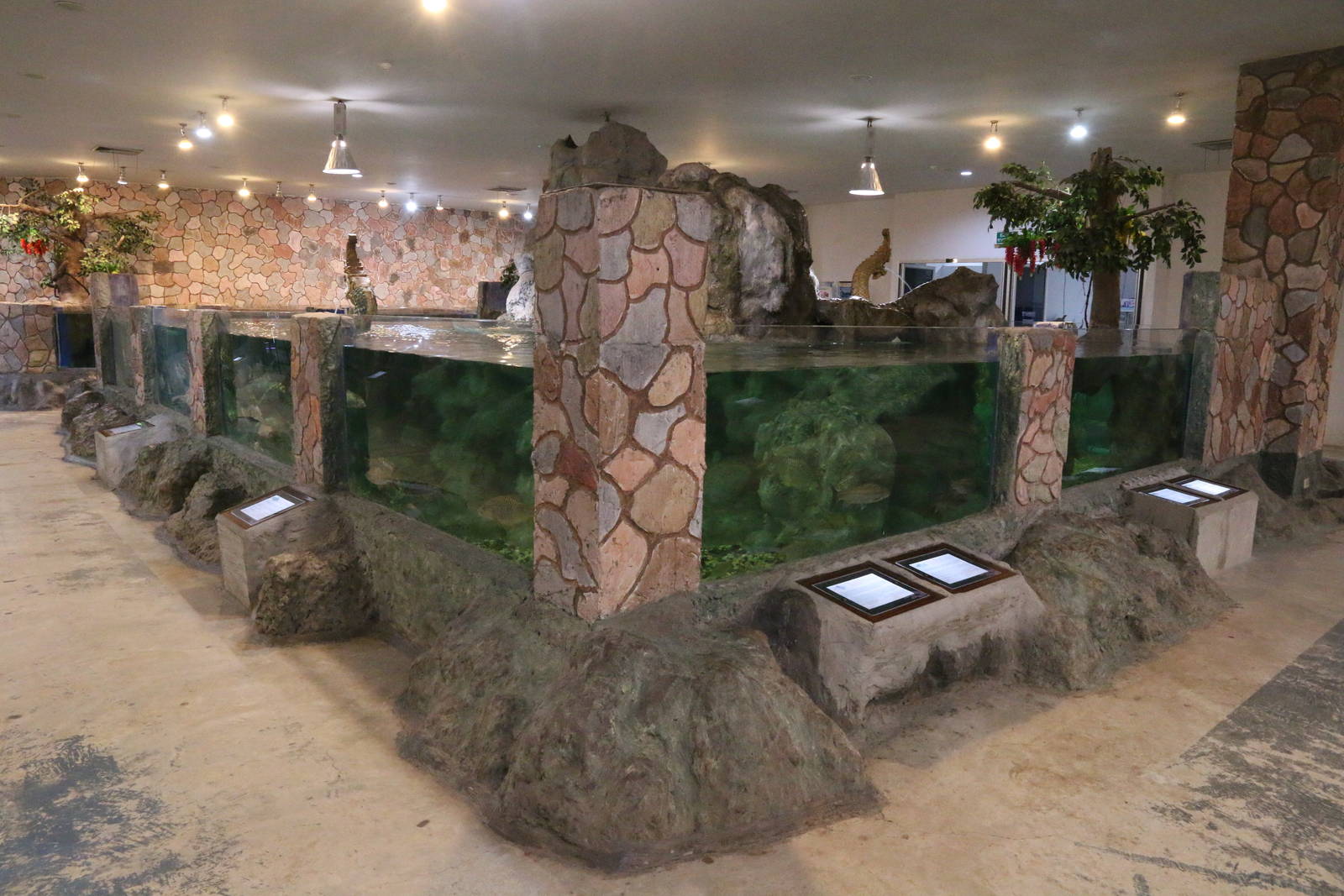 Some of the Ground Floor Tanks