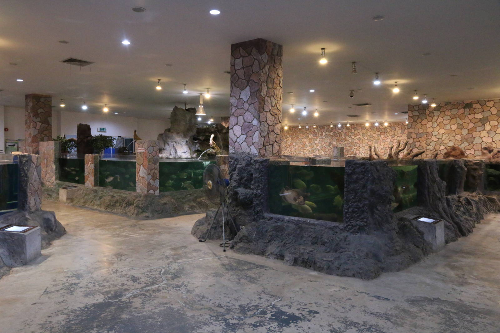 Some of the Ground Floor Tanks