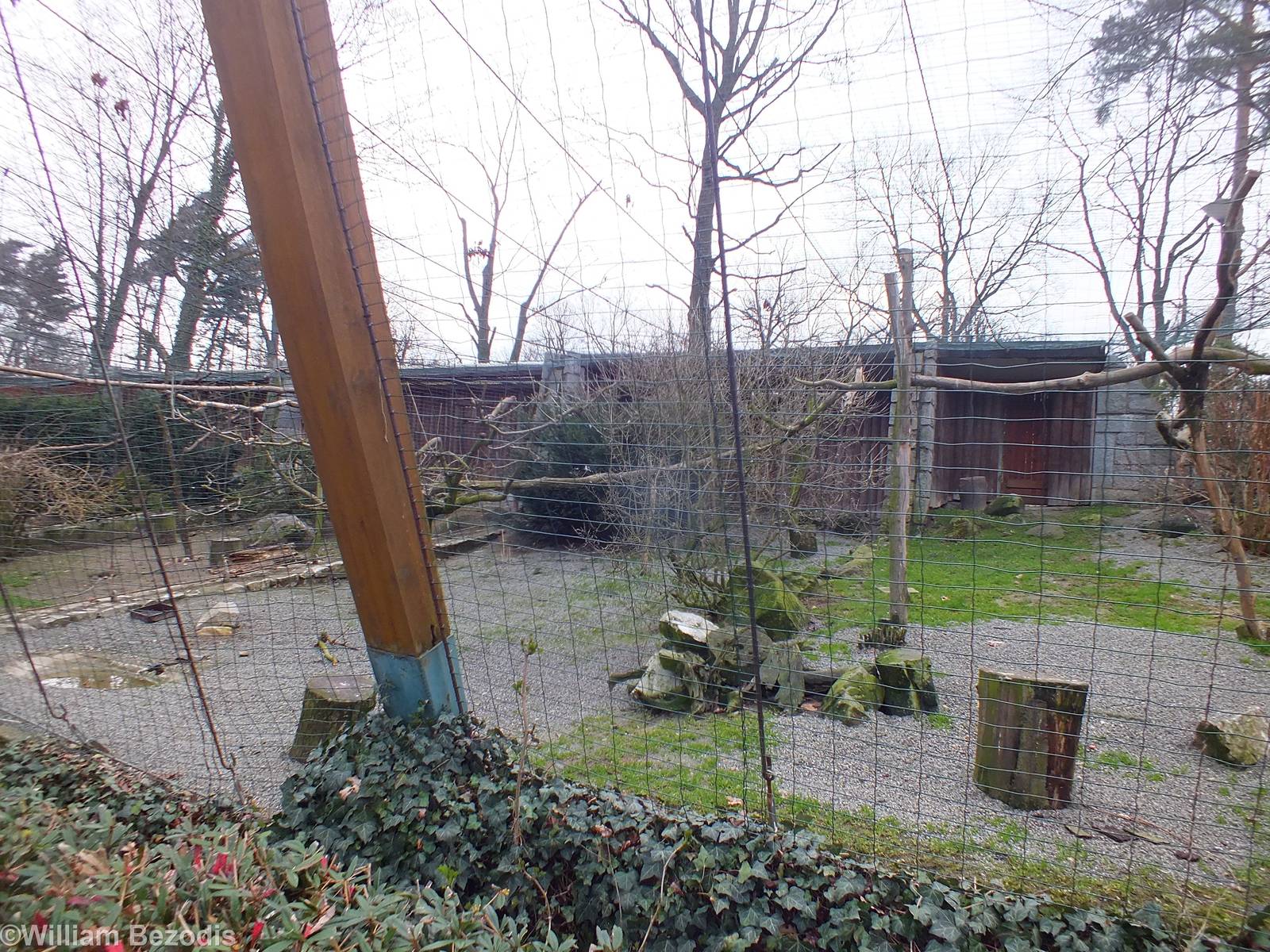 Some of the Large Aviaries