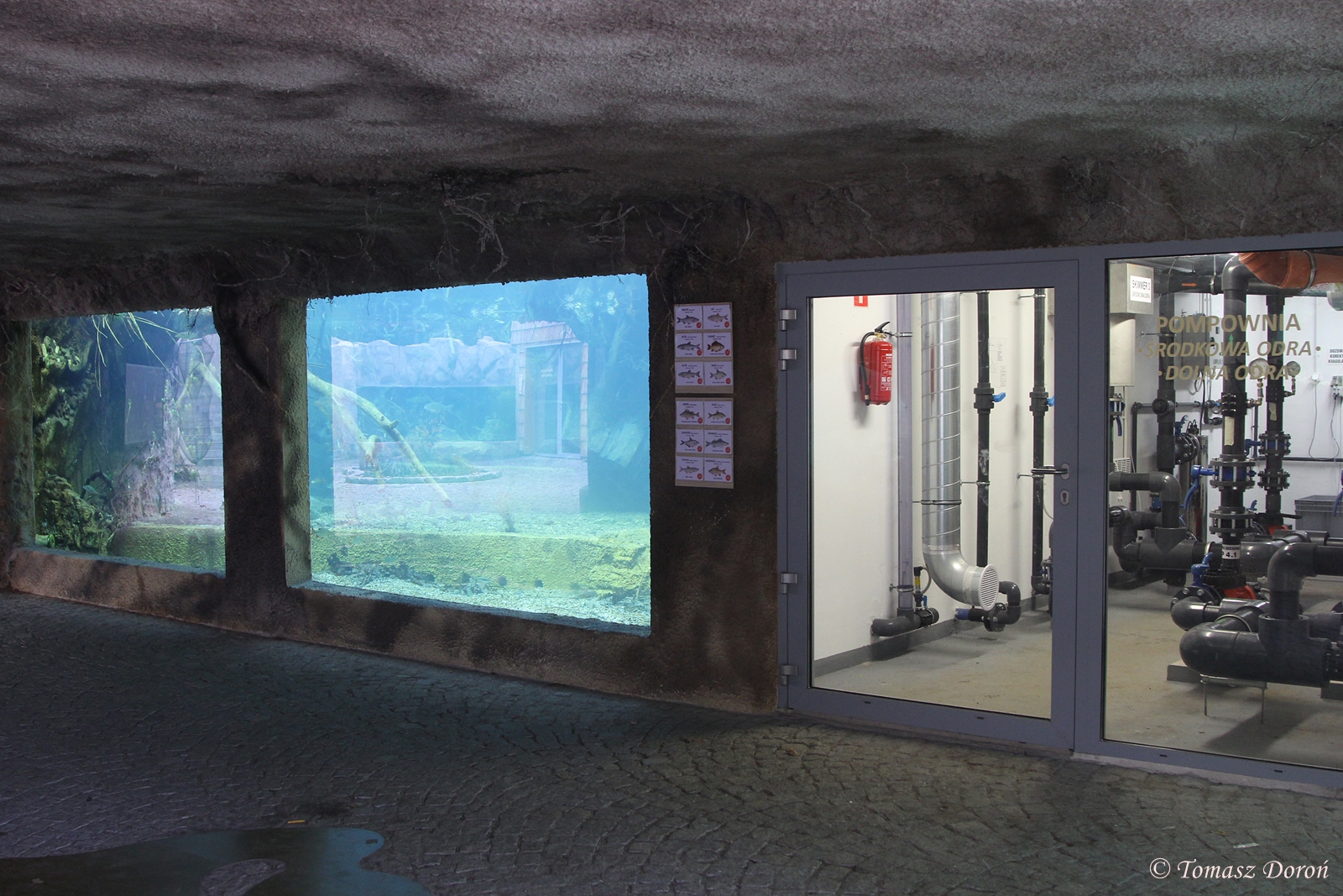 Some of the tanks from Odra river exhibit