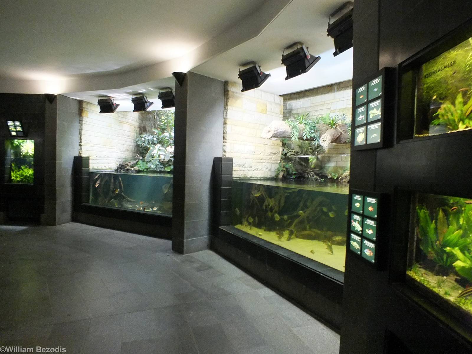 Some of the Tanks in the Aquarium