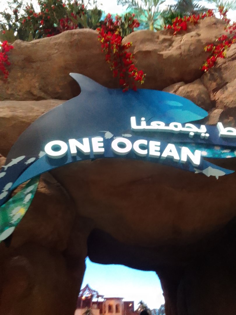 Some orca reference all around SeaWorld Abu Dhabi