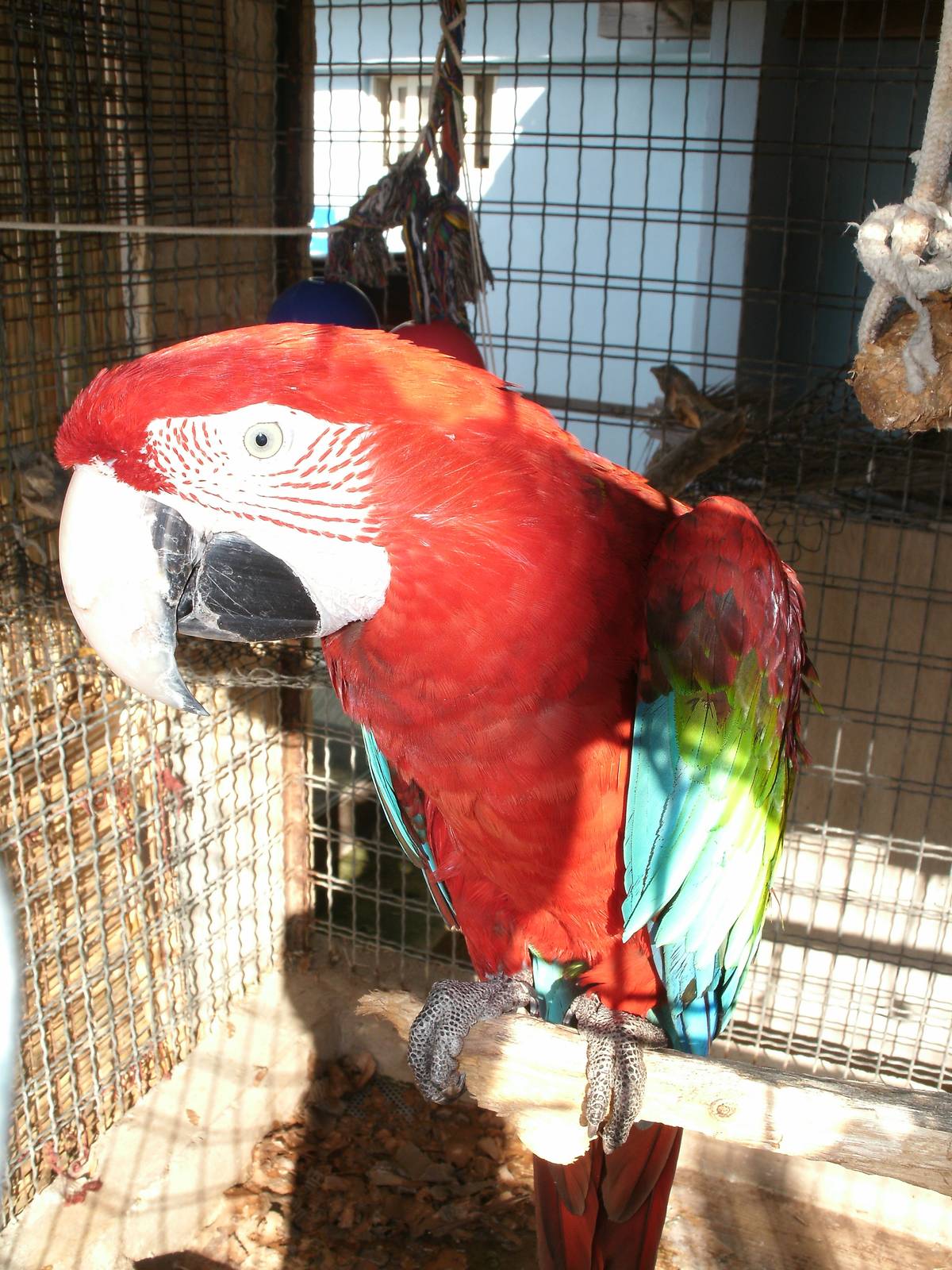 Some Photos of Animals At Mediterraneo Marine Park, Malta