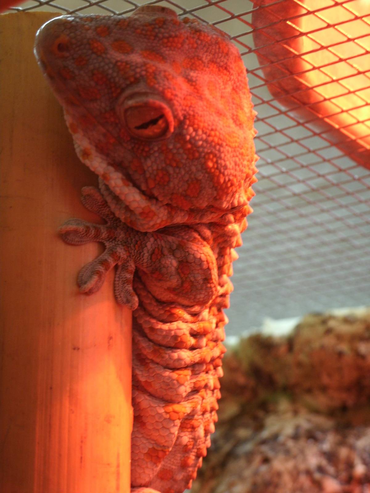 Some Photos of Animals At Mediterraneo Marine Park, Malta