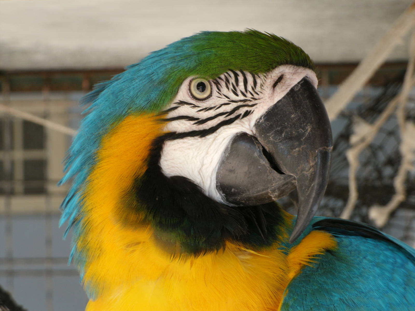 Some Photos of Animals At Mediterraneo Marine Park, Malta