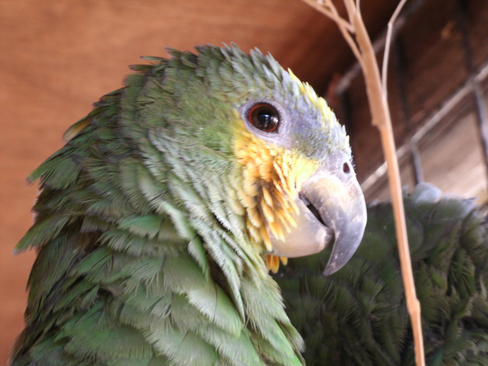 Some Photos of Animals At Mediterraneo Marine Park, Malta