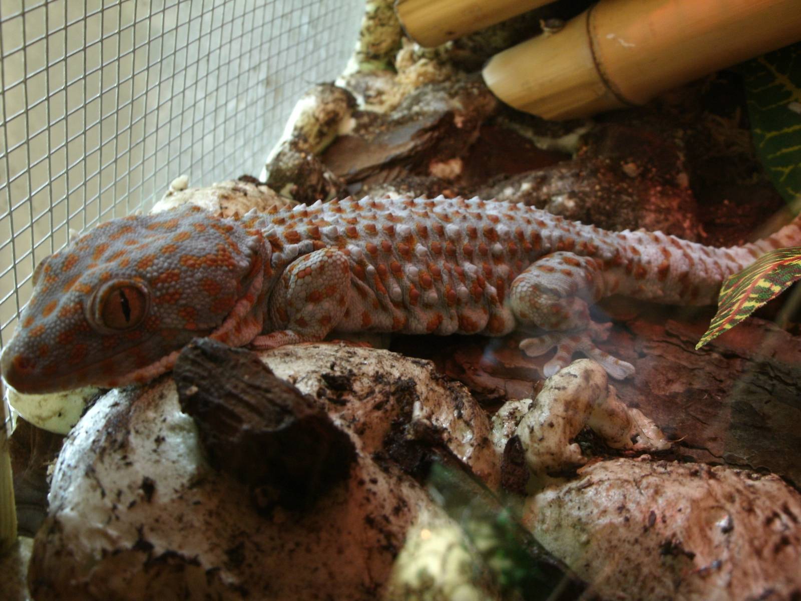 Some Photos of Animals At Mediterraneo Marine Park, Malta