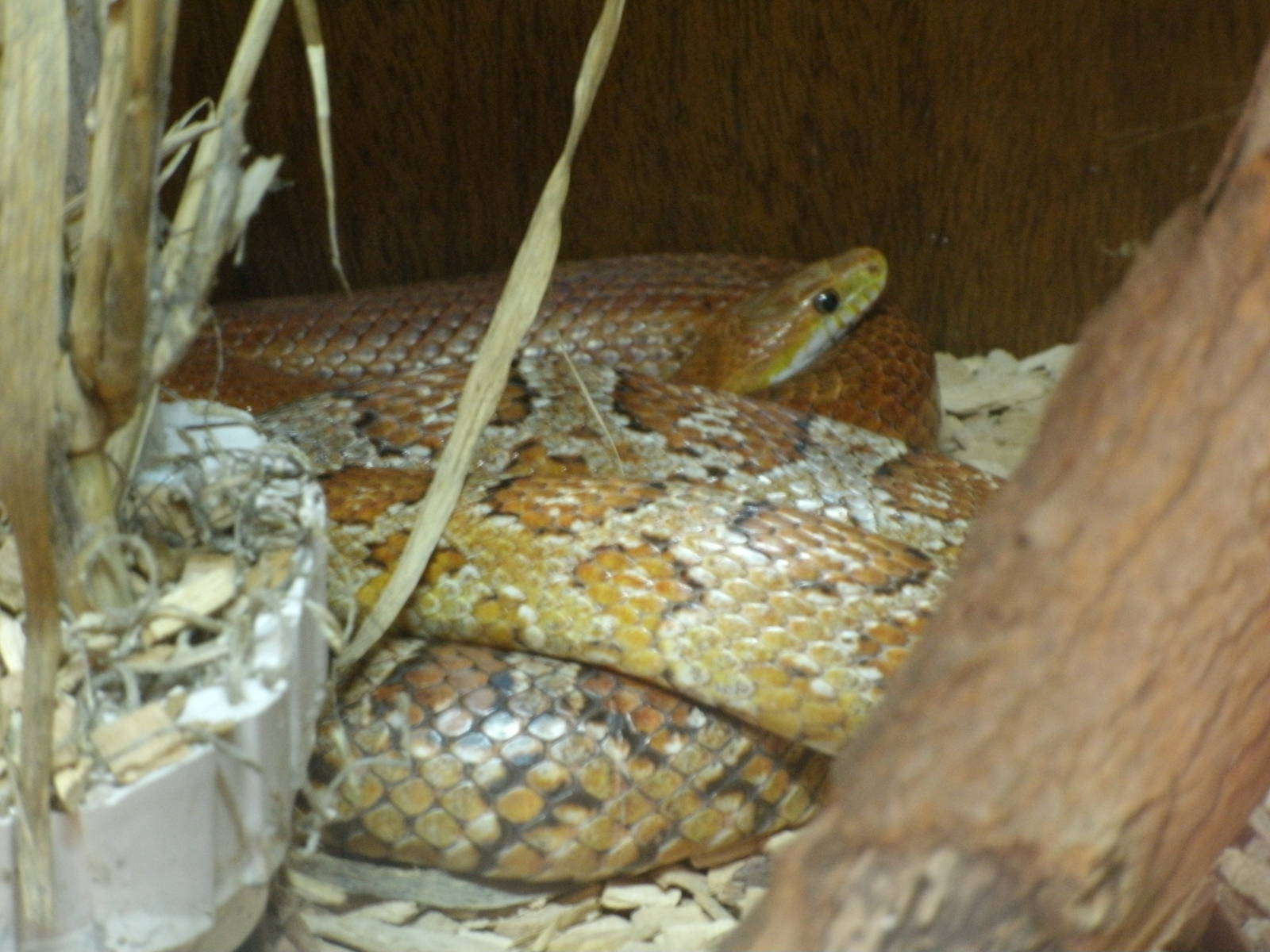 Some Photos of Animals At Mediterraneo Marine Park, Malta