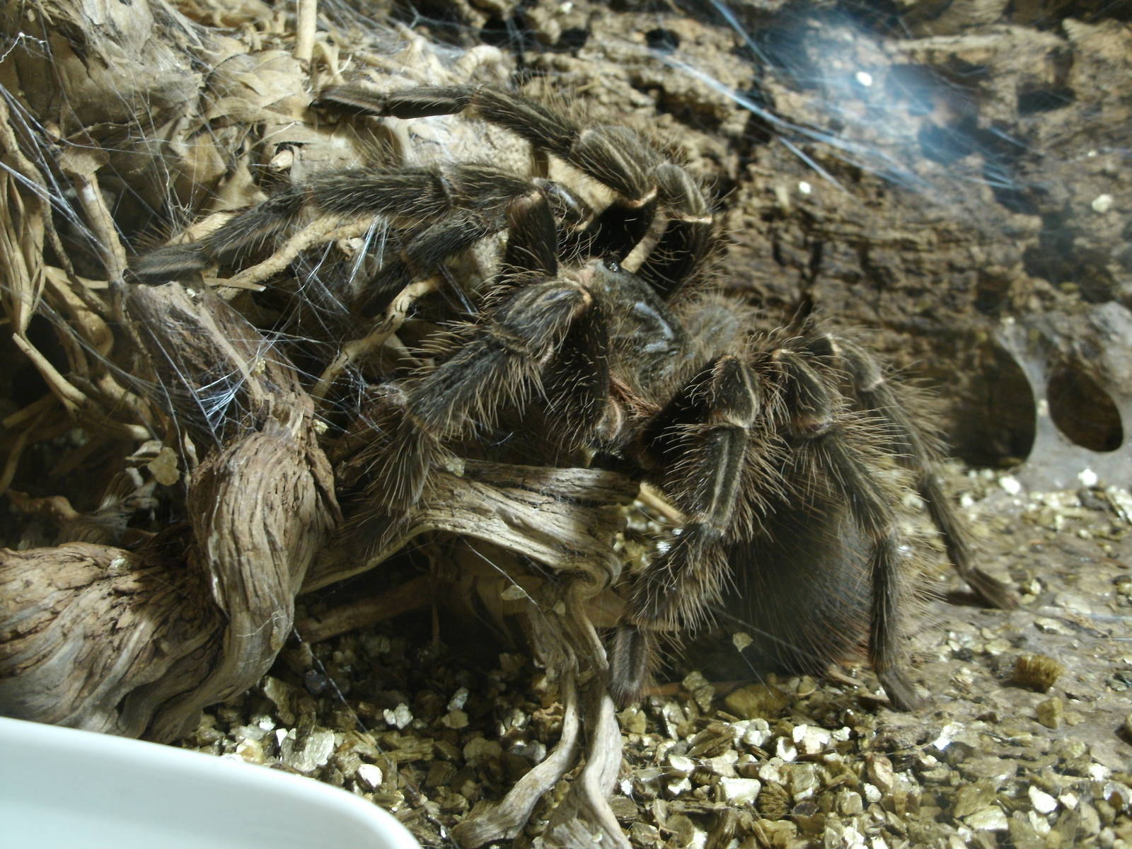 Some Photos of Animals At Mediterraneo Marine Park, Malta