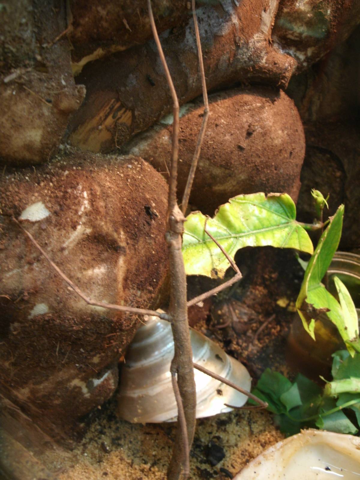 Some Photos of Animals At Mediterraneo Marine Park, Malta