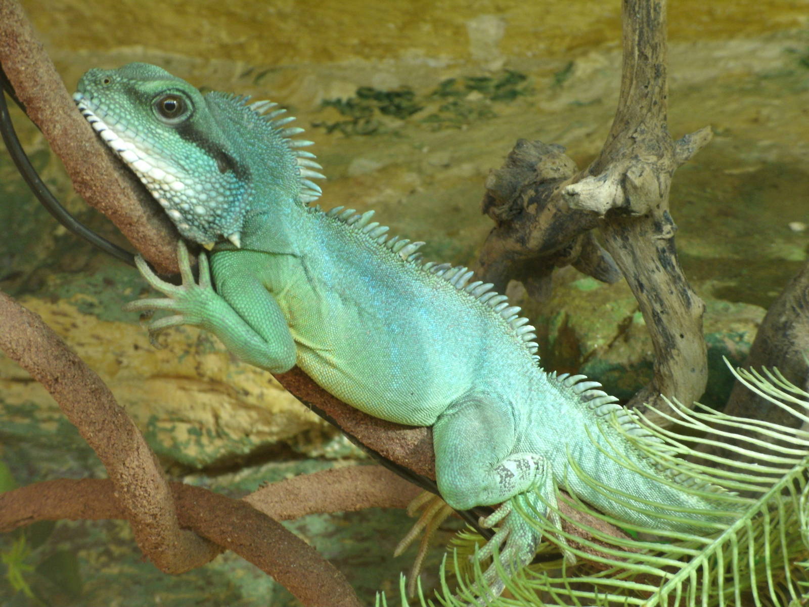 Some Photos of Animals At Mediterraneo Marine Park, Malta