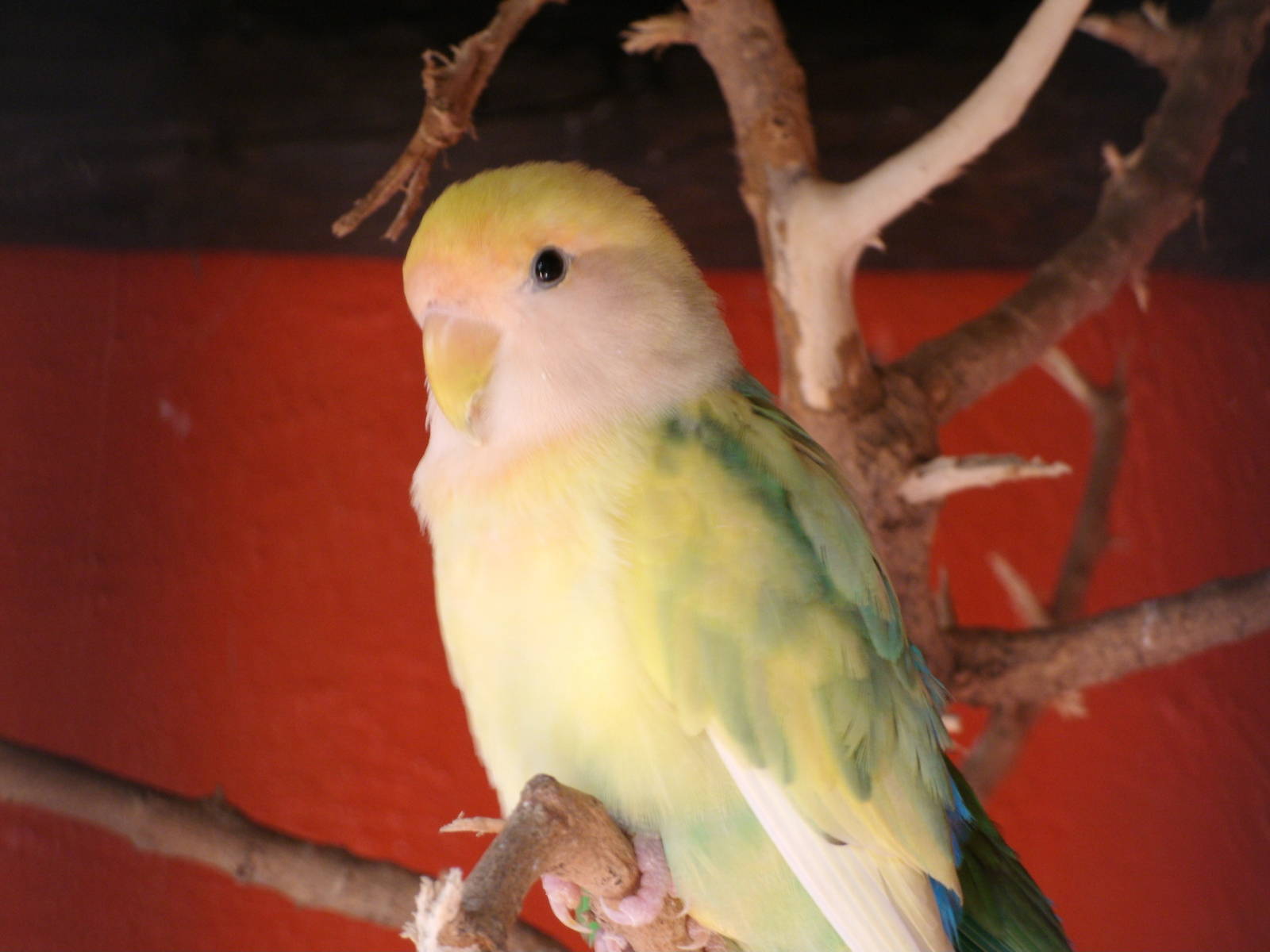 Some Photos of Animals At Mediterraneo Marine Park, Malta