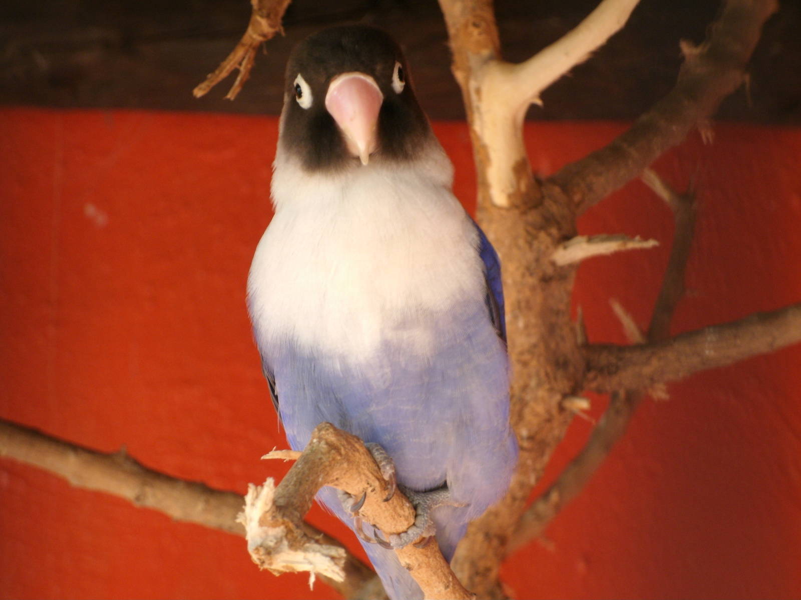 Some Photos of Animals At Mediterraneo Marine Park, Malta