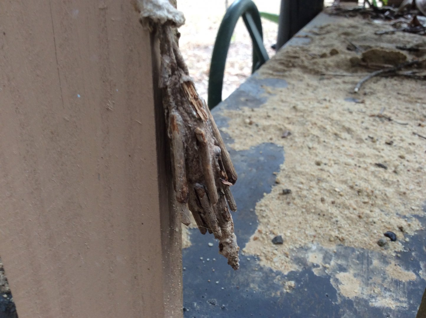 Some sort of Caterpillar Cocoon