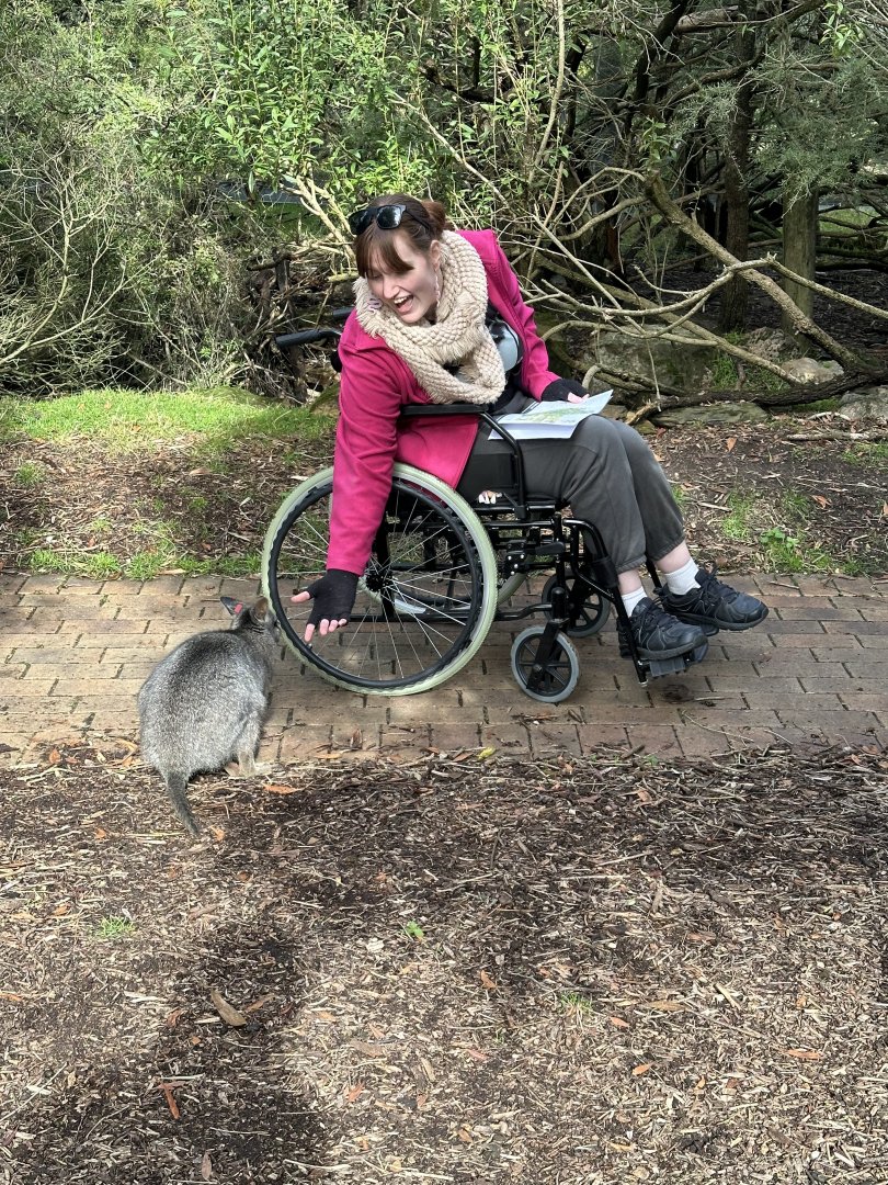 Some Wallabys can be very curious!