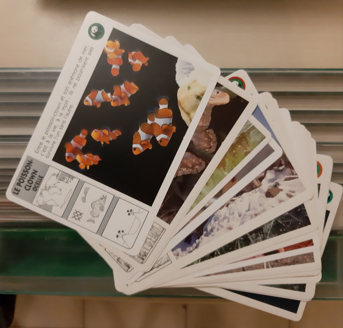 Some WWF animal cards