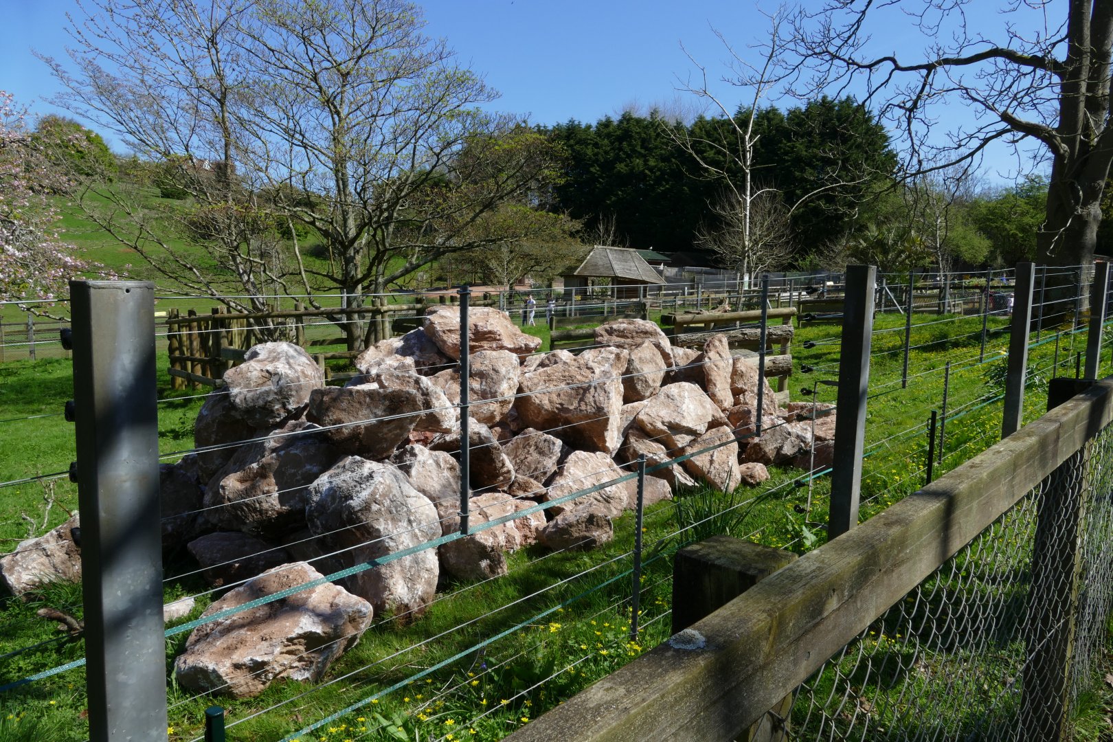 Something happening with the Savannah? 18 April 2018