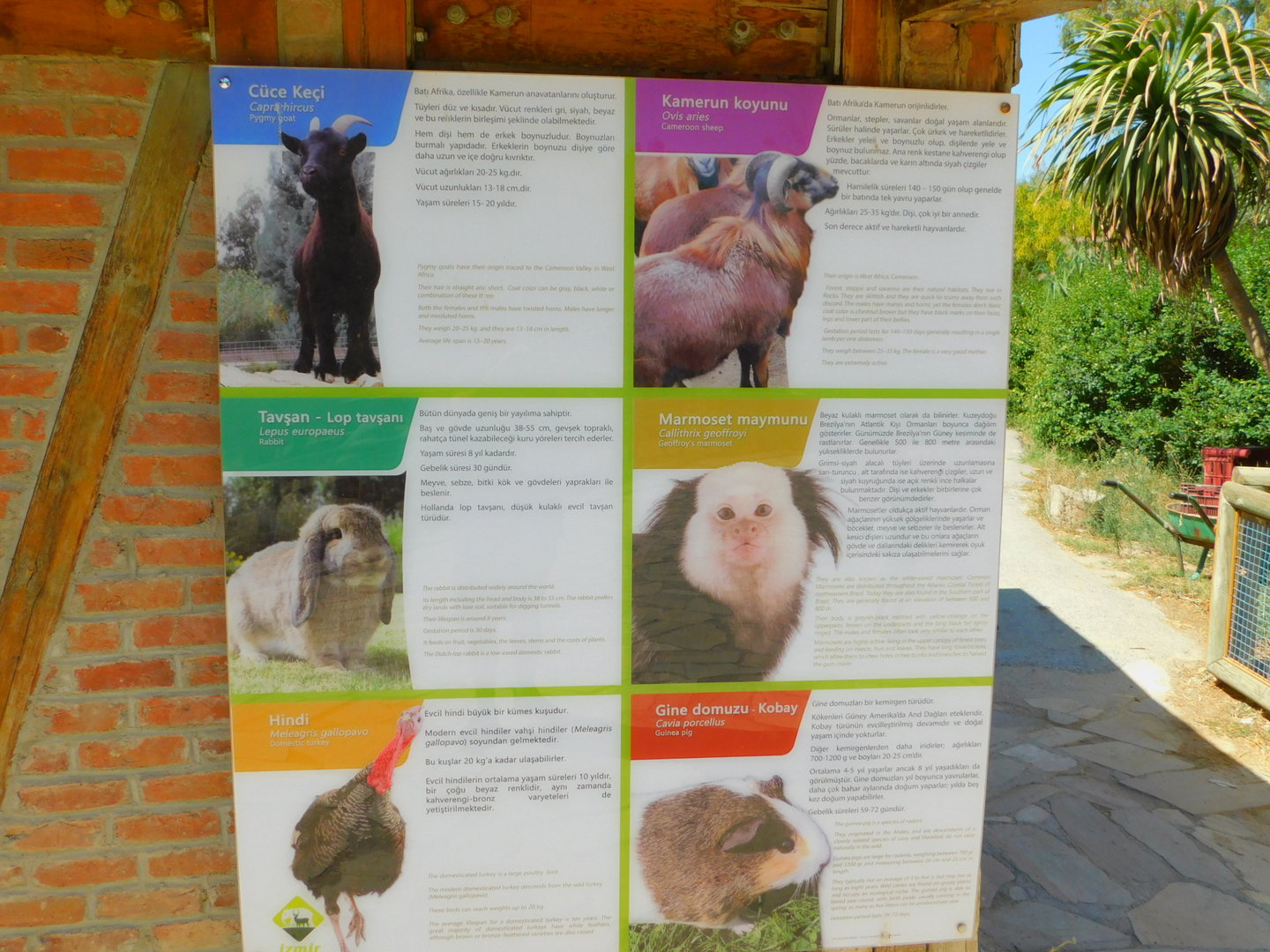 Something isn't right...