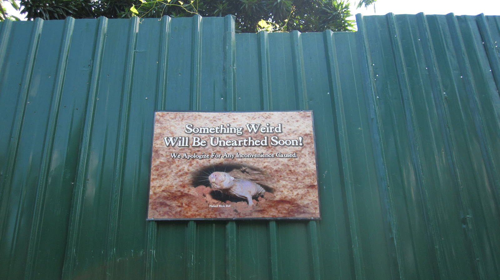 Something weird will be unearthed soon