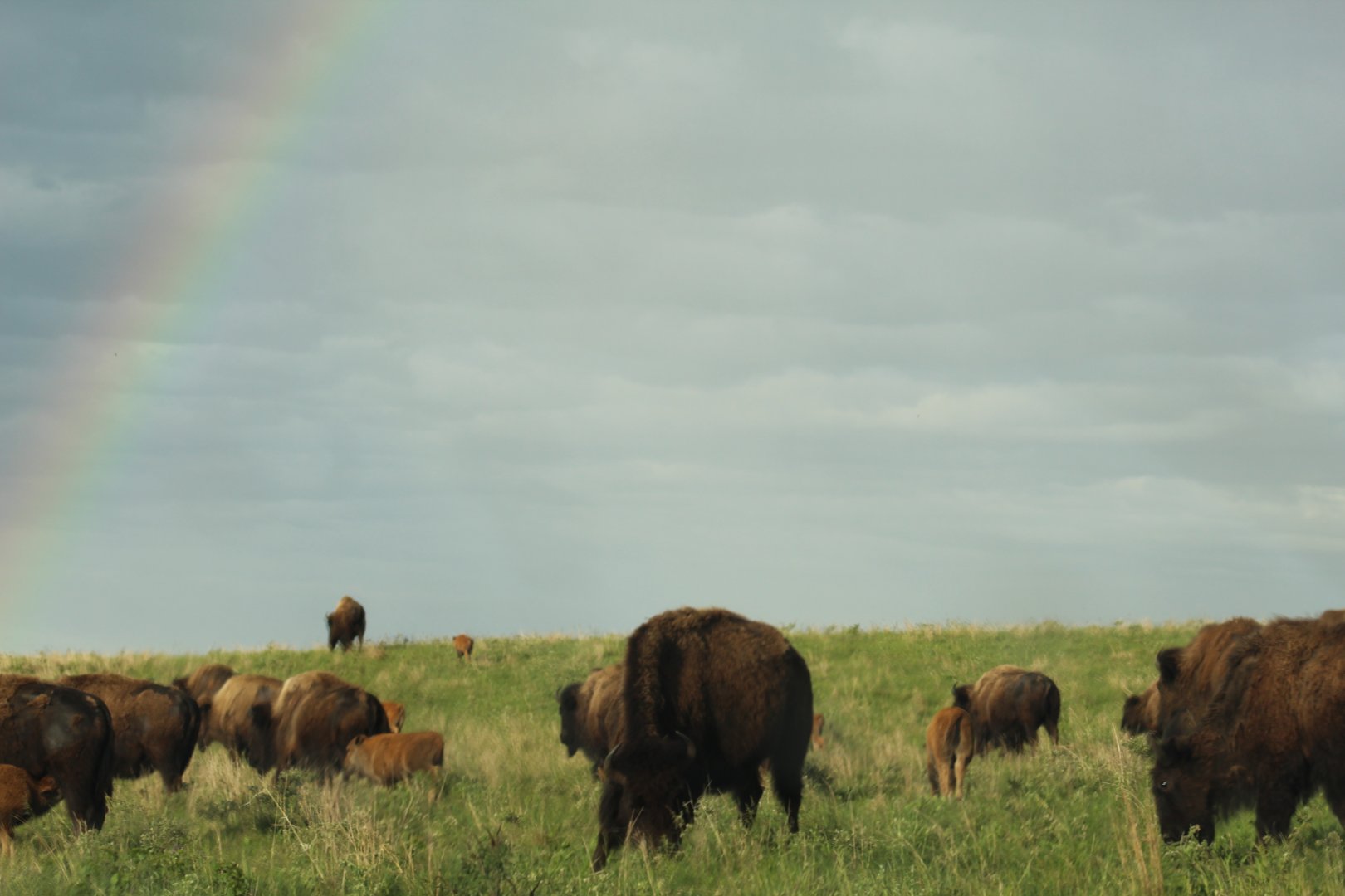 Somewhere Over the Rainbow