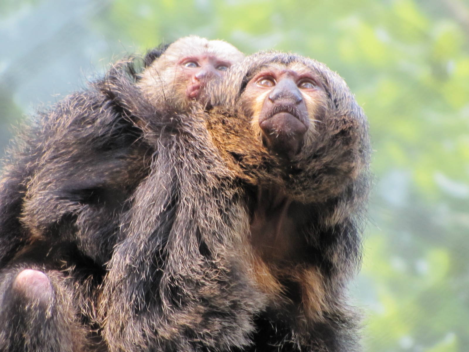 Son & Mother: Argyle & Katrina
