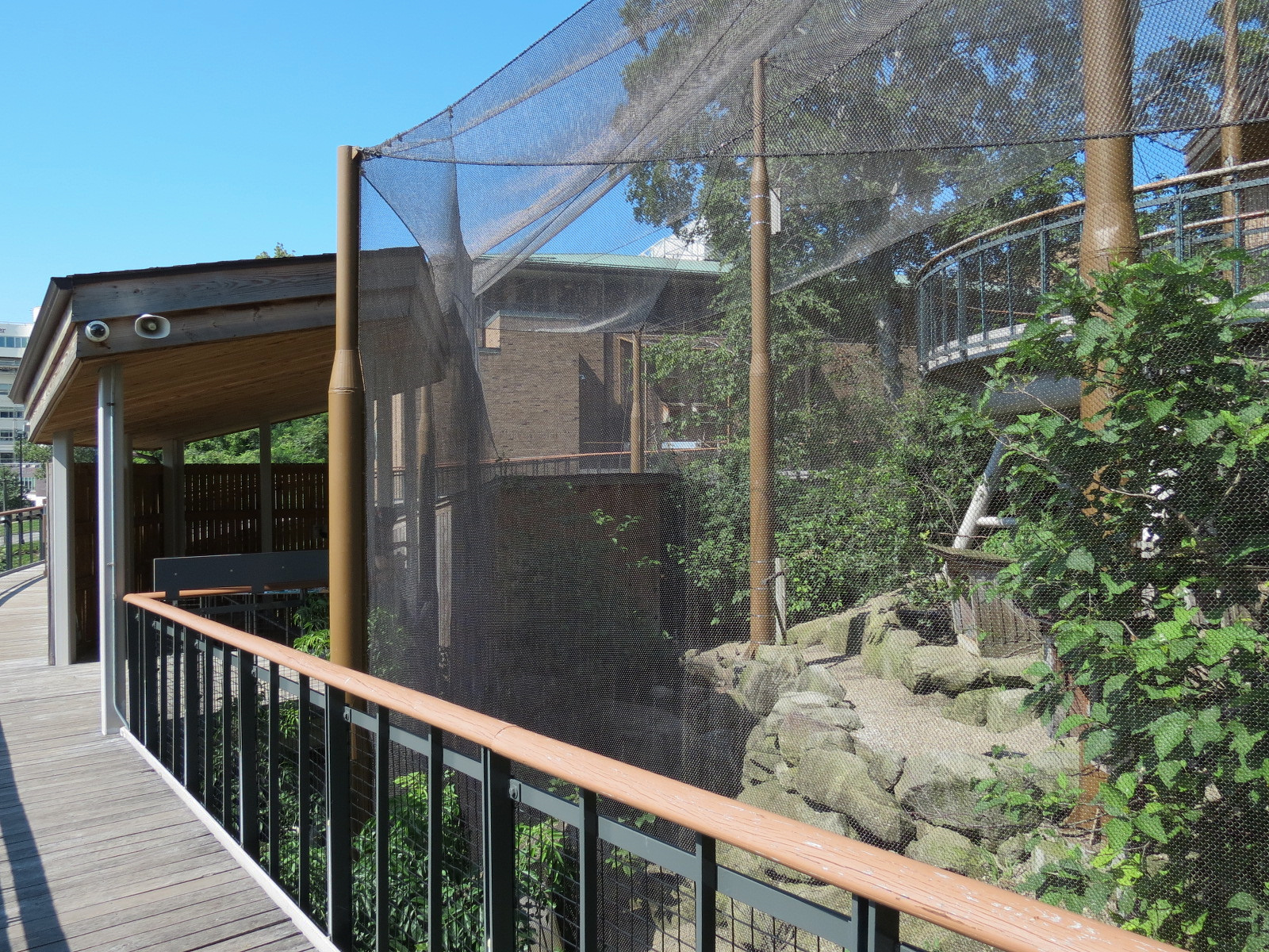 Songbird Aviary - Lower Viewing Area