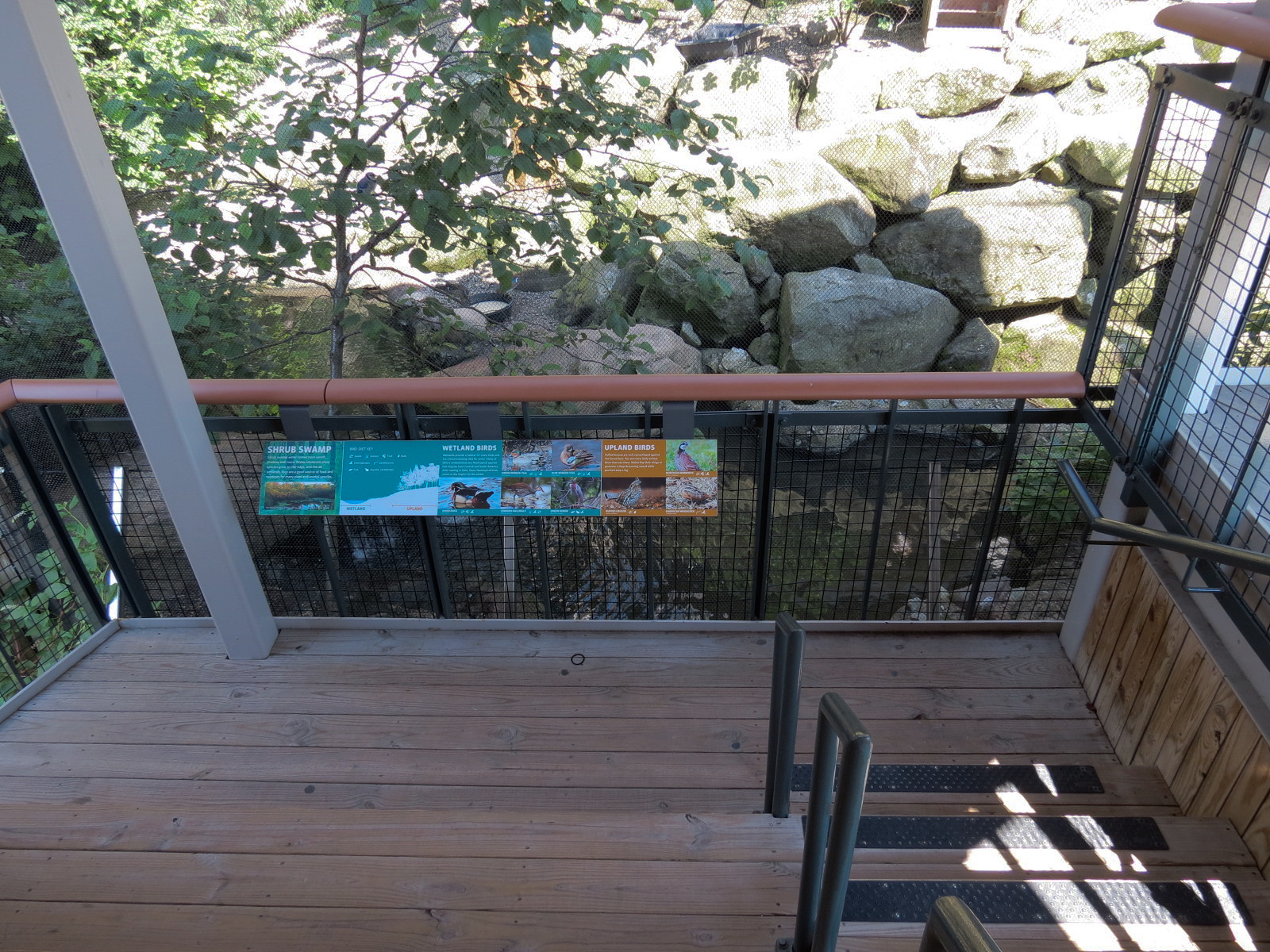 Songbird Aviary - Lower Viewing Area