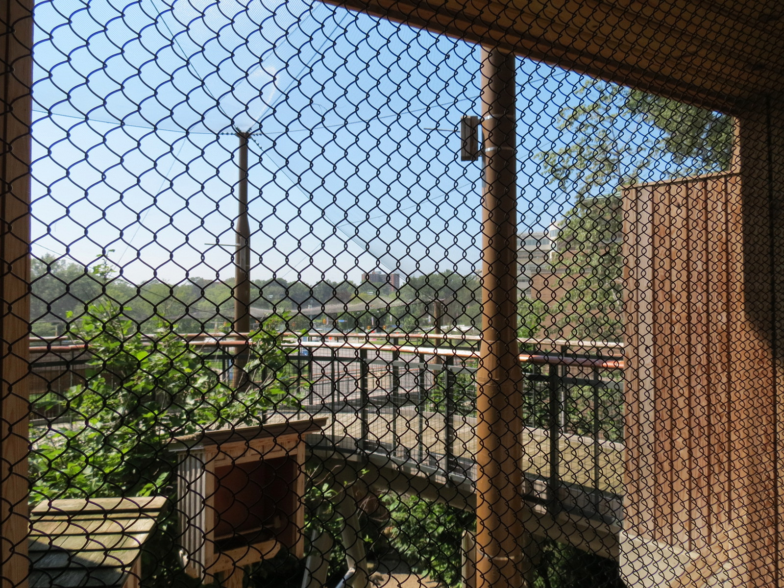 Songbird Aviary - Upper Viewing Area