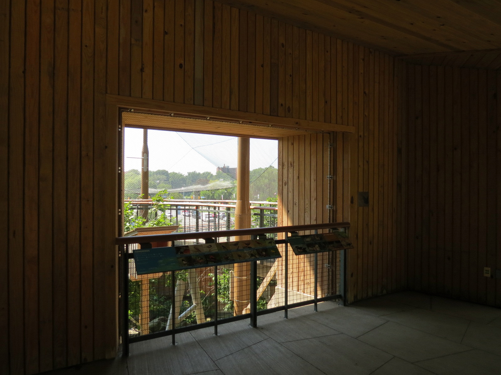 Songbird Aviary - Upper Viewing Area