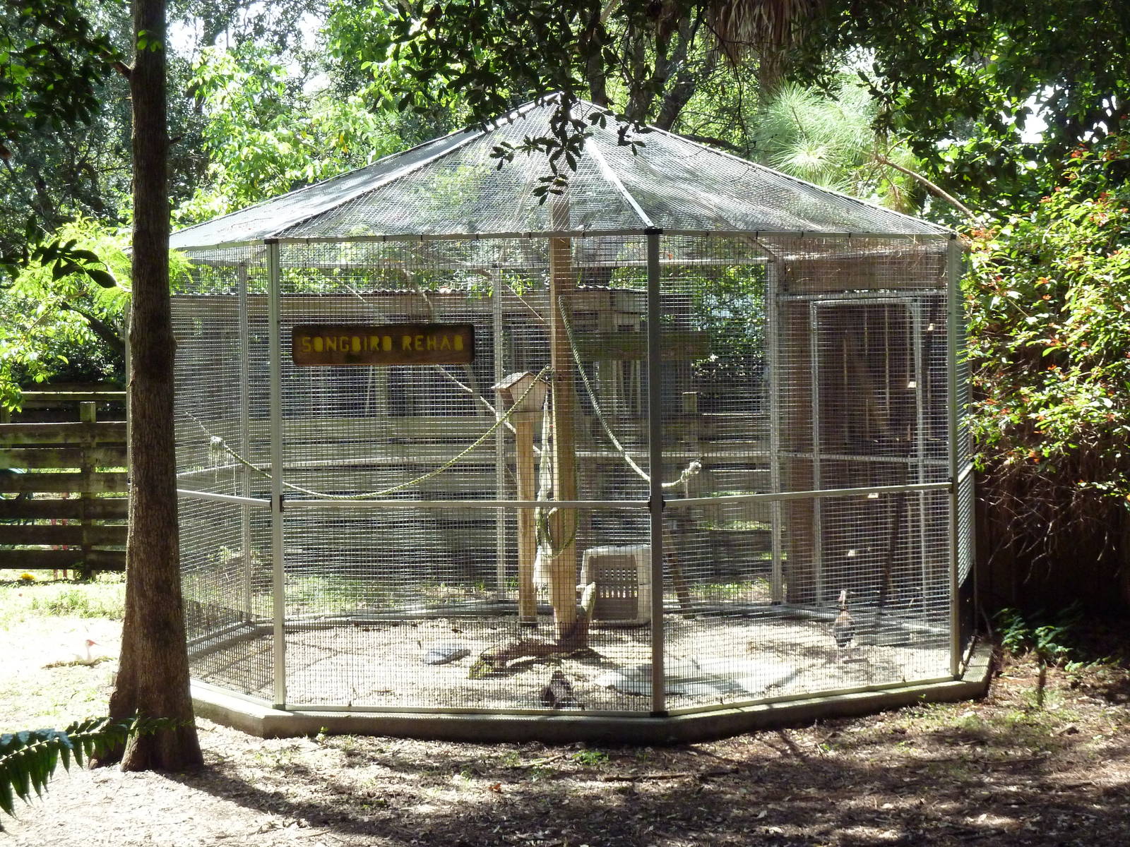 Songbird Rehab Aviary