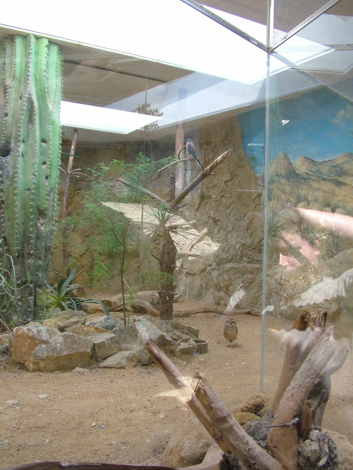 Sonora Building at Plzen, 25/05/10