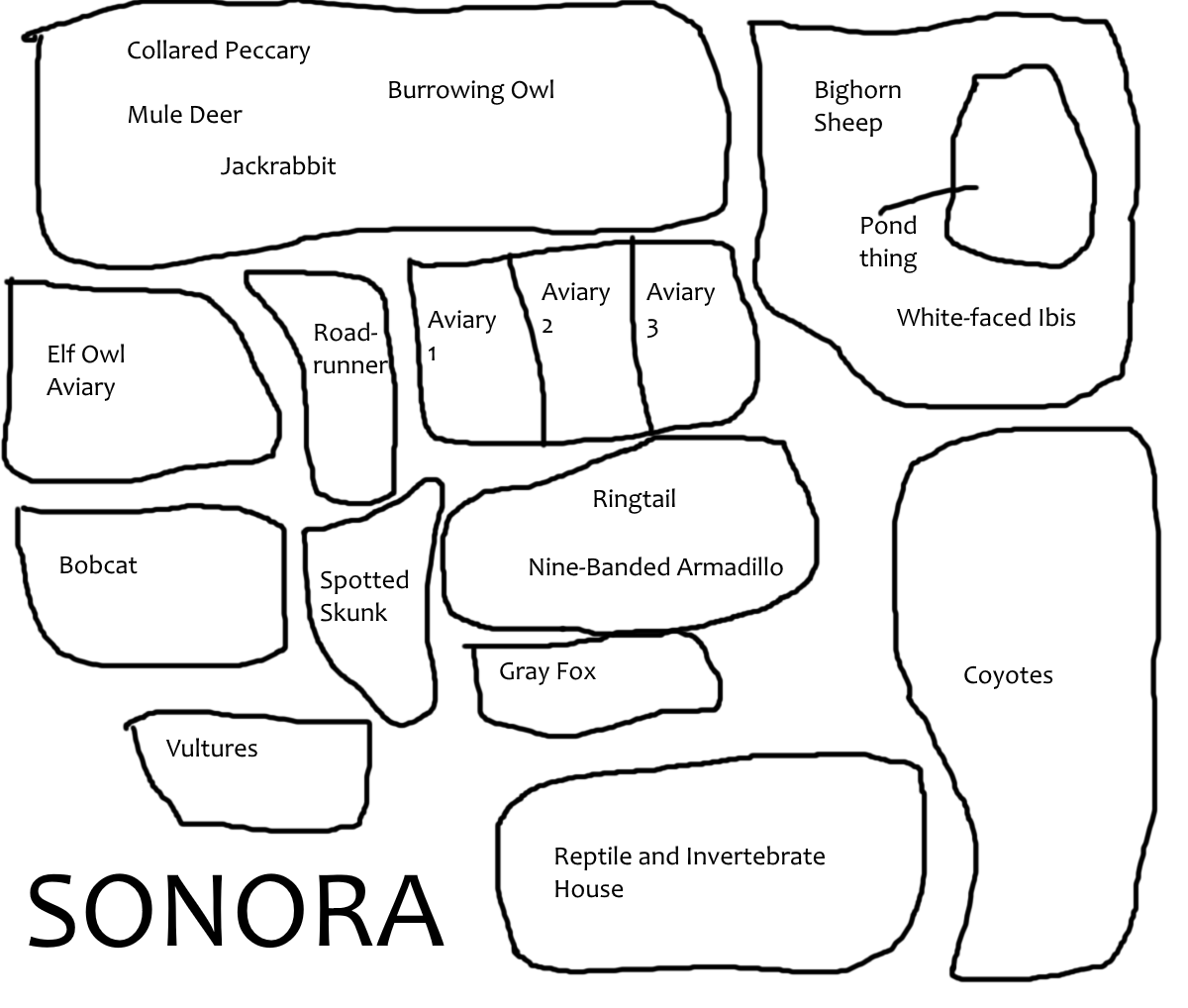 Sonora Complex Thing