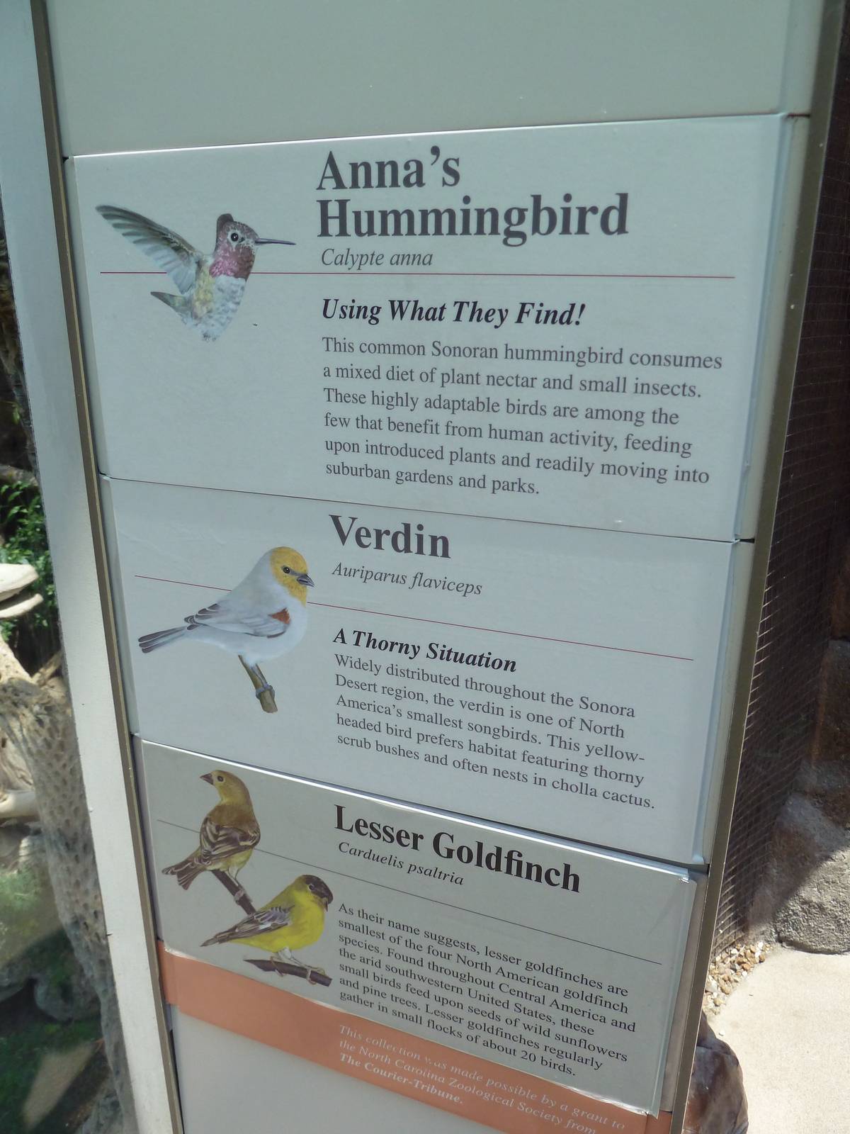 Sonora Desert Building - Free-Flying Birds - Signage