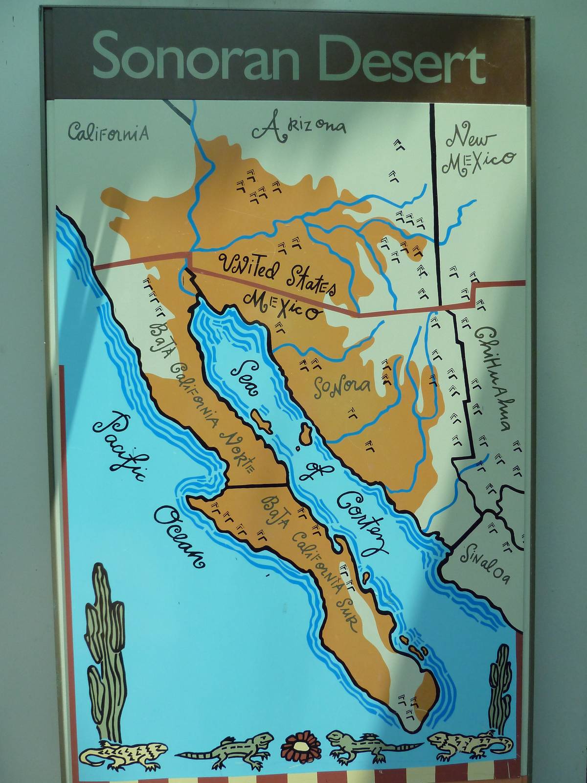 Sonora Desert Building - Map